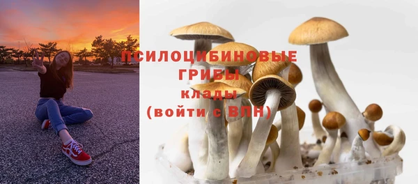 твердый Бронницы