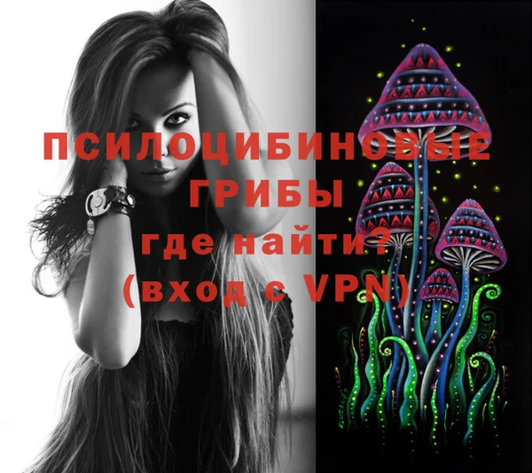 apvp Бугульма