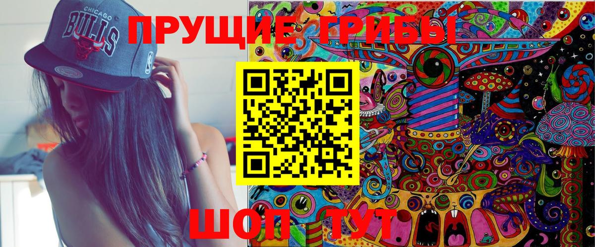 Галлюциногенные грибы Cubensis Елец